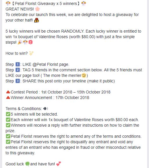 Example of Facebook Giveaway Rules